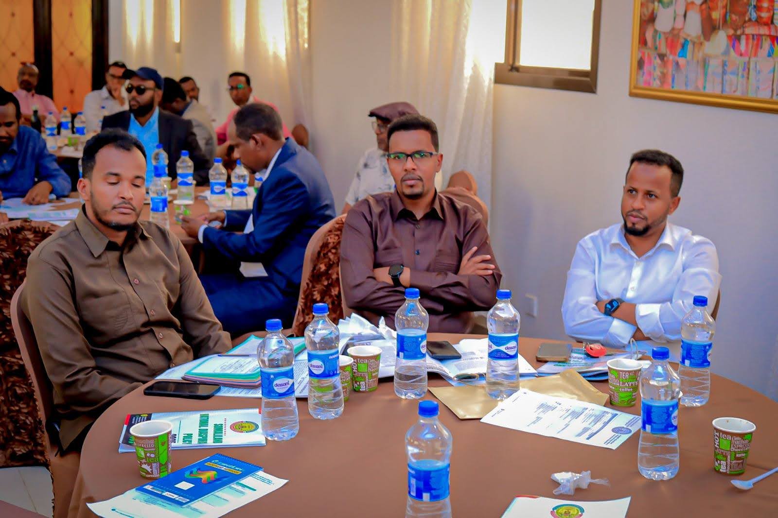 National Diaspora Policy Validation Workshop - Image 8